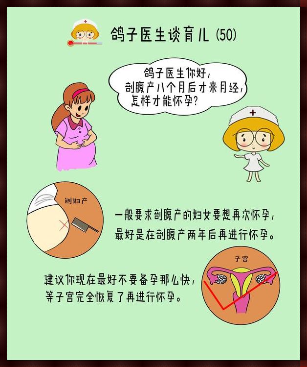 剖腹产后月经多久恢复正常