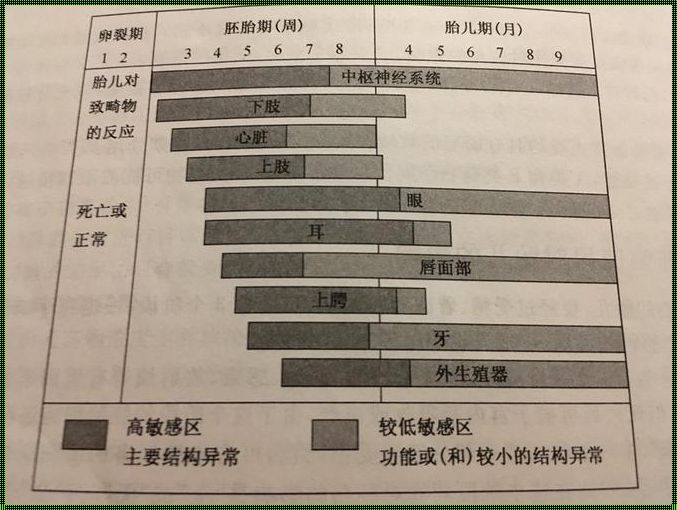 胎儿致畸最危险的时期：暗流涌动的孕育之谜