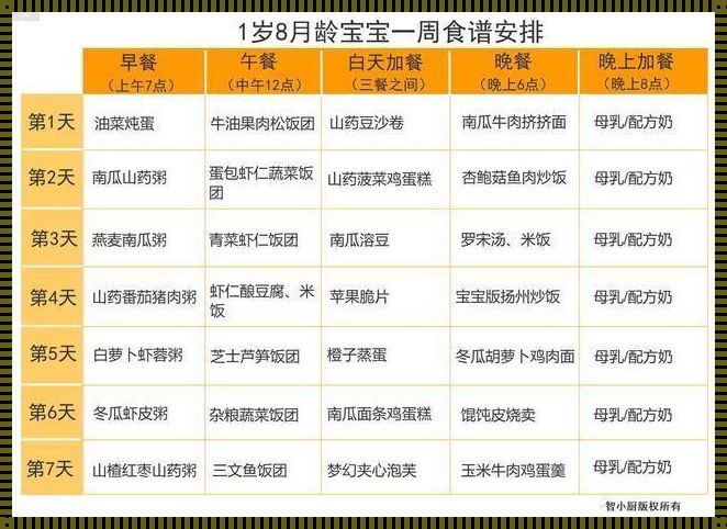 八岁孩童饮食如何科学规划